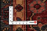 Songhor - Koliai Persian Carpet 342x160 - Picture 4