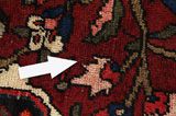Bakhtiari Persian Carpet 314x210 - Picture 17