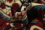 Bakhtiari Persian Carpet 310x163 - Picture 7
