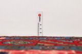 Songhor - Koliai Persian Carpet 300x150 - Picture 8