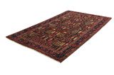 Koliai - Kurdi Persian Carpet 266x153 - Picture 2