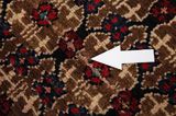 Songhor - Koliai Persian Carpet 278x158 - Picture 17