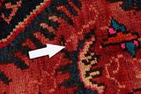 Koliai - Kurdi Persian Carpet 250x150 - Picture 17