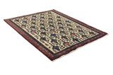 Afshar - Sirjan Persian Carpet 212x162 - Picture 1