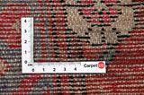 Tuyserkan - Hamadan Persian Carpet 327x177 - Picture 4