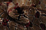 Songhor - Koliai Persian Carpet 308x100 - Picture 7