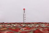 Borchalou - Hamadan Persian Carpet 313x97 - Picture 8