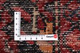 Borchalou - Hamadan Persian Carpet 300x205 - Picture 4