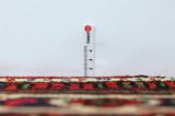 Hosseinabad - Hamadan Persian Carpet 330x158 - Picture 8