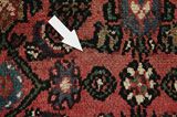 Borchalou - Hamadan Persian Carpet 313x223 - Picture 17