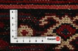 Borchalou - Hamadan Persian Carpet 230x157 - Picture 4