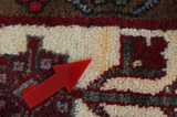Koliai - Kurdi Persian Carpet 303x150 - Picture 18