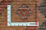 Songhor - Koliai Persian Carpet 280x158 - Picture 4
