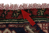 Songhor - Koliai Persian Carpet 280x158 - Picture 18