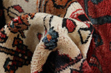 Koliai - Kurdi Persian Carpet 260x147 - Picture 6