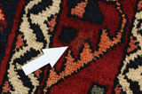Lori - Bakhtiari Persian Carpet 258x165 - Picture 18