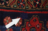 Koliai - Kurdi Persian Carpet 308x150 - Picture 17
