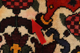 Bakhtiari Persian Carpet 310x208 - Picture 18