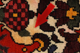 Bakhtiari Persian Carpet 310x208 - Picture 17