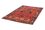 Lori - Bakhtiari Persian Carpet 253x153 - Picture 2