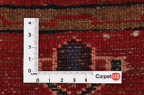 Zanjan - Hamadan Persian Carpet 300x104 - Picture 4
