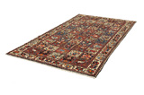 Bakhtiari Persian Carpet 308x168 - Picture 2