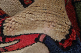 Bakhtiari Persian Carpet 246x114 - Picture 6