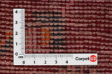 Lilian - Sarouk Persian Carpet 321x176 - Picture 4