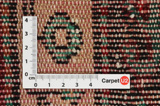Tuyserkan - Hamadan Persian Carpet 310x160 - Picture 4