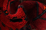 Lori - Bakhtiari Persian Carpet 286x166 - Picture 7