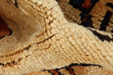 Bakhtiari Persian Carpet 340x127 - Picture 7