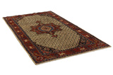 Songhor - Koliai Persian Carpet 284x155 - Picture 1
