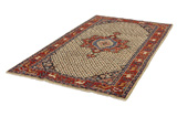 Songhor - Koliai Persian Carpet 284x155 - Picture 2