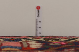 Bakhtiari - Garden Persian Carpet 313x208 - Picture 8