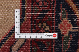 Nahavand - Hamadan Persian Carpet 278x153 - Picture 4