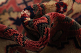 Nahavand - Hamadan Persian Carpet 278x153 - Picture 7