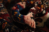Bakhtiari - Garden Persian Carpet 315x213 - Picture 7