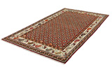 Joshaghan Persian Carpet 289x166 - Picture 2