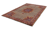 Songhor - Koliai Persian Carpet 294x192 - Picture 2