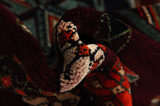Yalameh - Qashqai Persian Carpet 255x150 - Picture 7