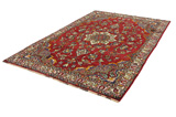 Qashqai - Shiraz Persian Carpet 317x204 - Picture 2