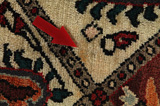 Bakhtiari - Garden Persian Carpet 320x218 - Picture 17